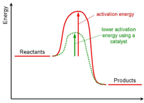Catalysis: Meaning of catalyst, its characteristics and types