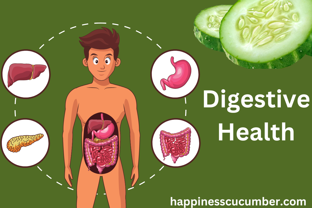 cucumber for digestive health