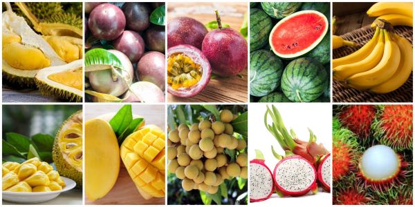 Các loại trái cây xuất khẩu nước ngoài