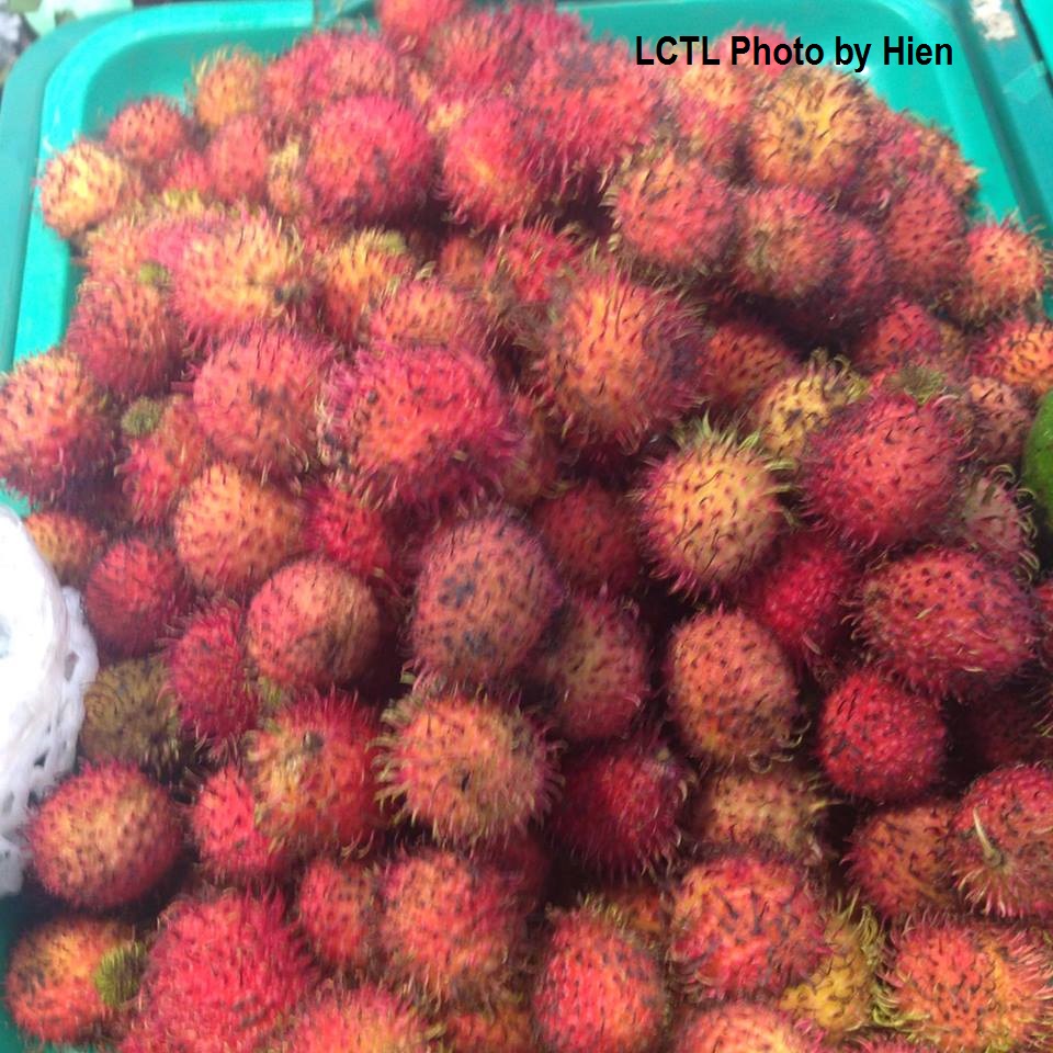 rambutan.jpg