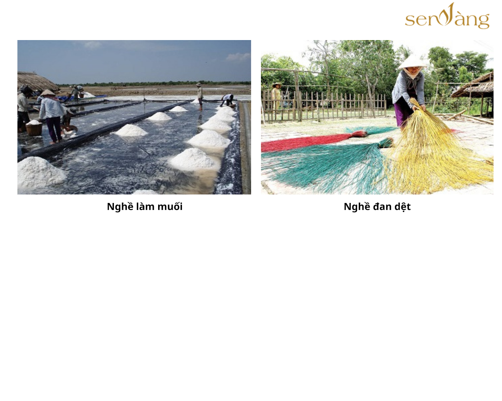 Tổng quan tỉnh Bạc Liêu