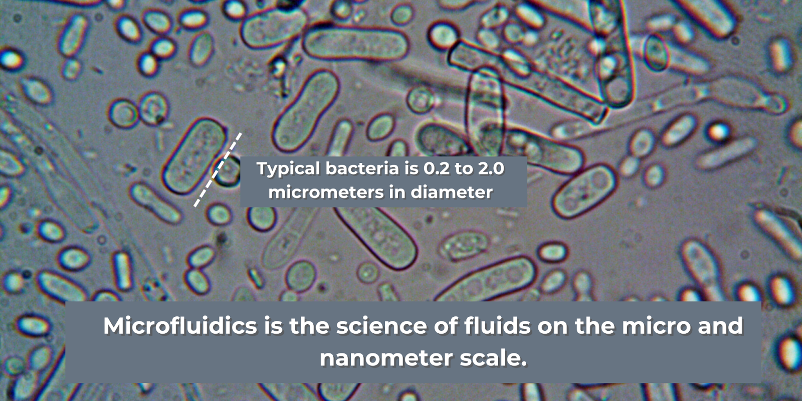 what are microfluidics