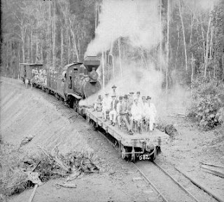https://upload.wikimedia.org/wikipedia/commons/6/66/Autoridades_em_Visita_ao_Trecho_Conclu%C3%ADdo_da_Ferrovia_Madeira-Mamor%C3%A9_-_582%2C_Acervo_do_Museu_Paulista_da_USP_%28cropped%29.jpg