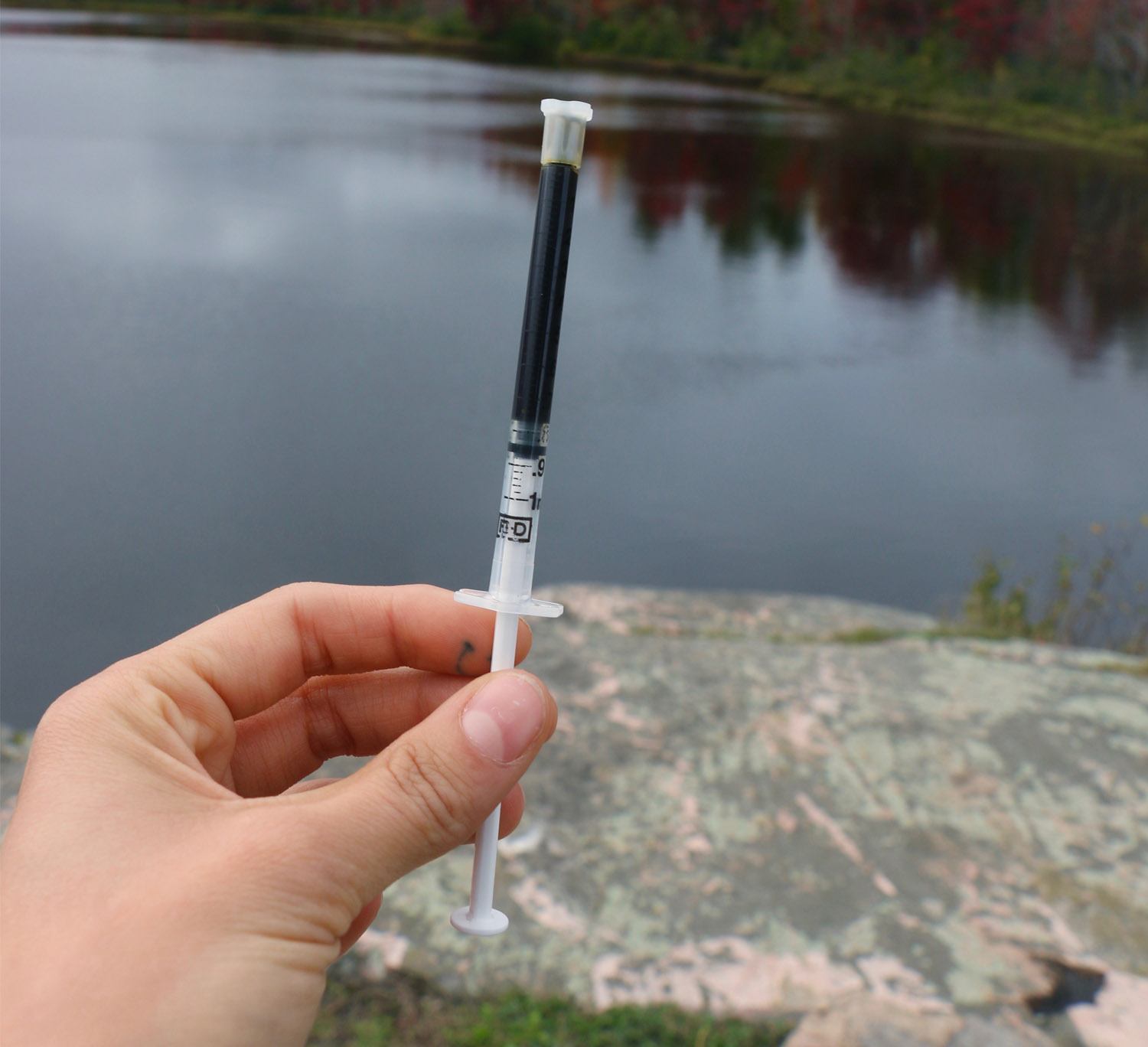 Hemp Extract Syringe