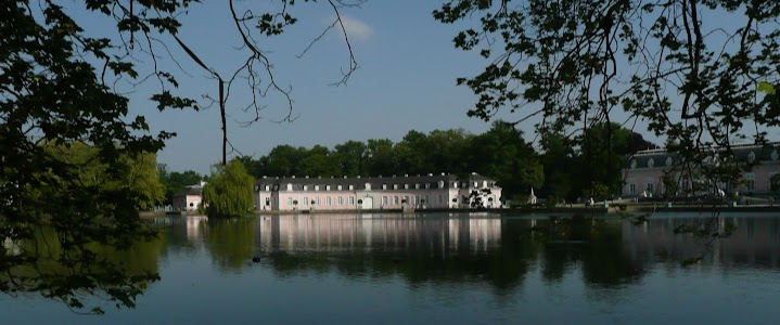 Benrather Schloss-Weiher mit alter Weide.