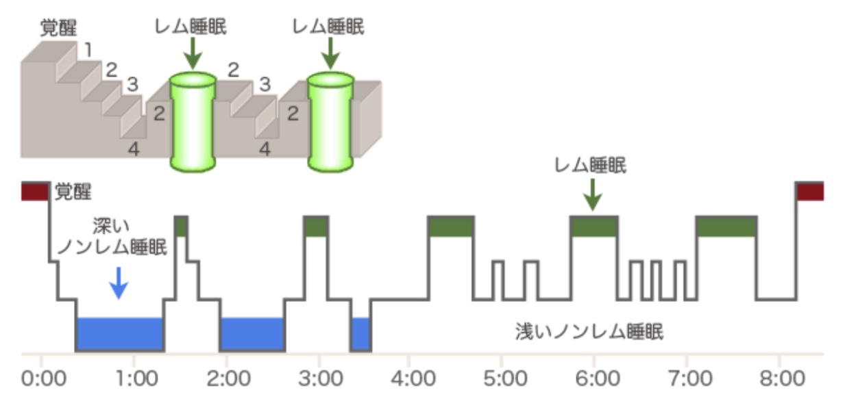 公認心理師試験対策!レム睡眠とノンレム睡眠・脳波について 関連記事記事カテゴリープロフィール最近の投稿カテゴリーアーカイブカテゴリーメタ情報最近の投稿最近のコメントアーカイブ