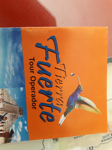 Opiniones de Tierra Fuerte en Arequipa - Agencia de viajes