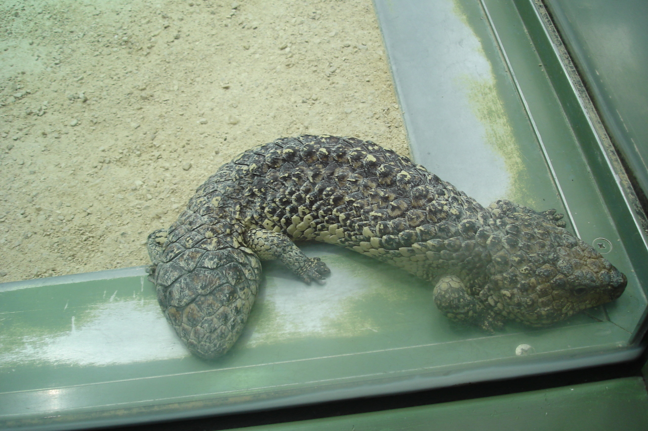 036404369-big.jpg