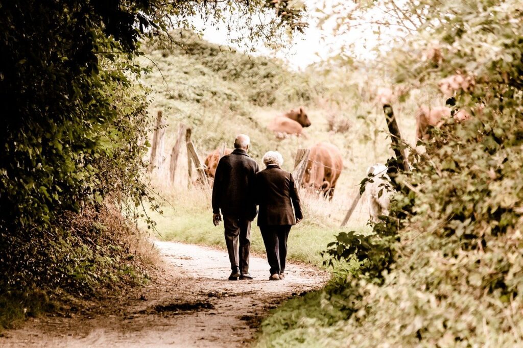 an elderly couple walking together with arms intertwined near a pasture with cows