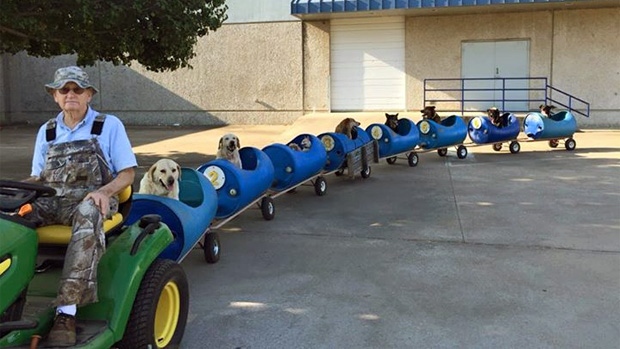 puppy train.jpg