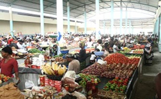 L Agriculture Vivriere Ivoirienne Agrexpert Services Fiat Cibus Et Cibus Fit