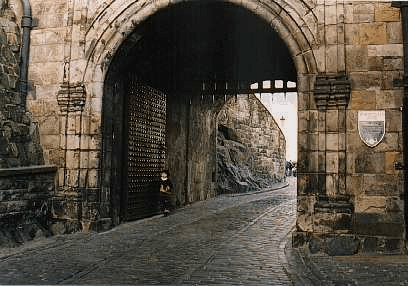 ScreenHunter_02 Feb. 16 18.41.gif