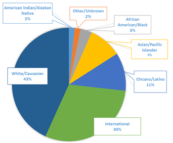 Ethnicity Pie Ethnicity Pie