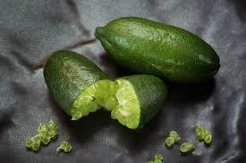 what do lime trees look like