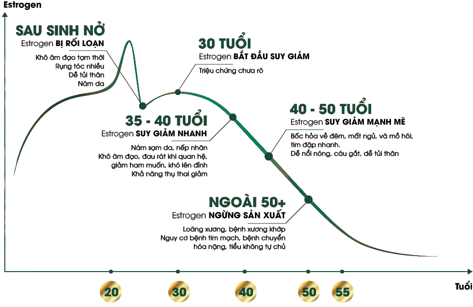 Estrogen thay đổi theo từng giai đoạn của phụ nữ