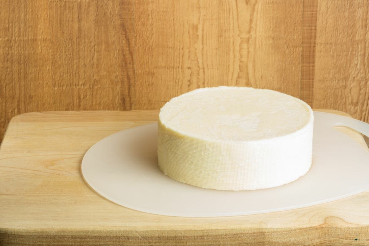 8 White Cheddar Substitutes You Can Use For Your Recipes