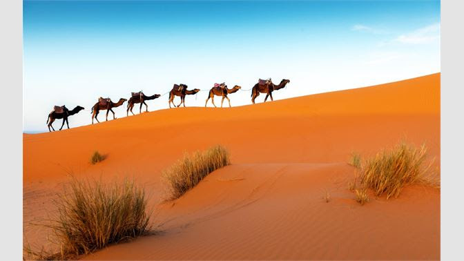 Image result for the desert
