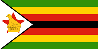 Image result for zimbabwe flag