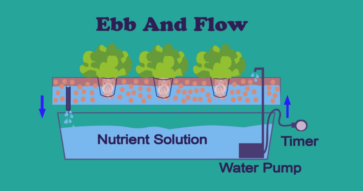 Ebb And Flow System