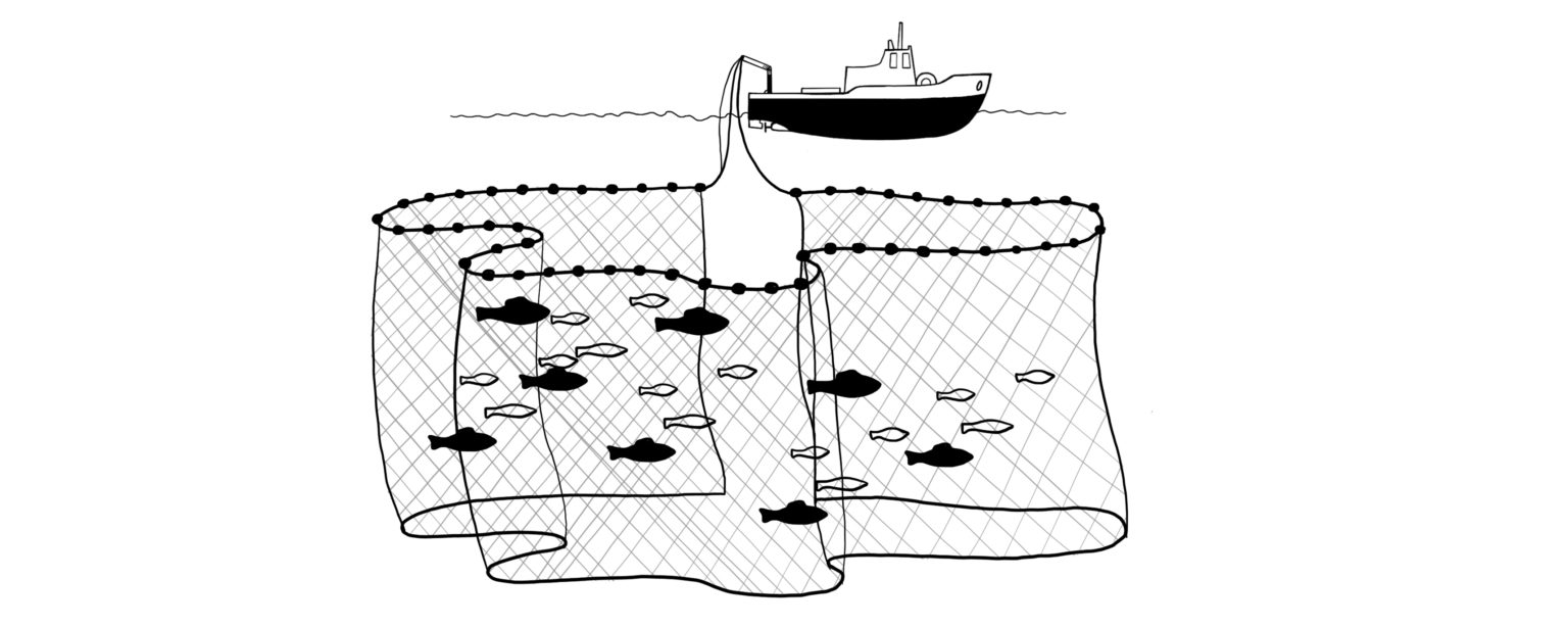 Una red de pesca es una red utilizada para pescar. las redes son  dispositivos hechos de fibras tejidas en una estructura similar a una  rejilla. algunas redes de pesca también se denominan