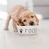 best food for puppies