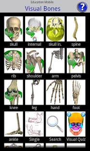 Visual Bones apk