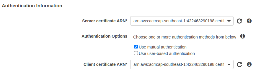 How to enable secure access to the AWS resources using AWS Client VPN?
