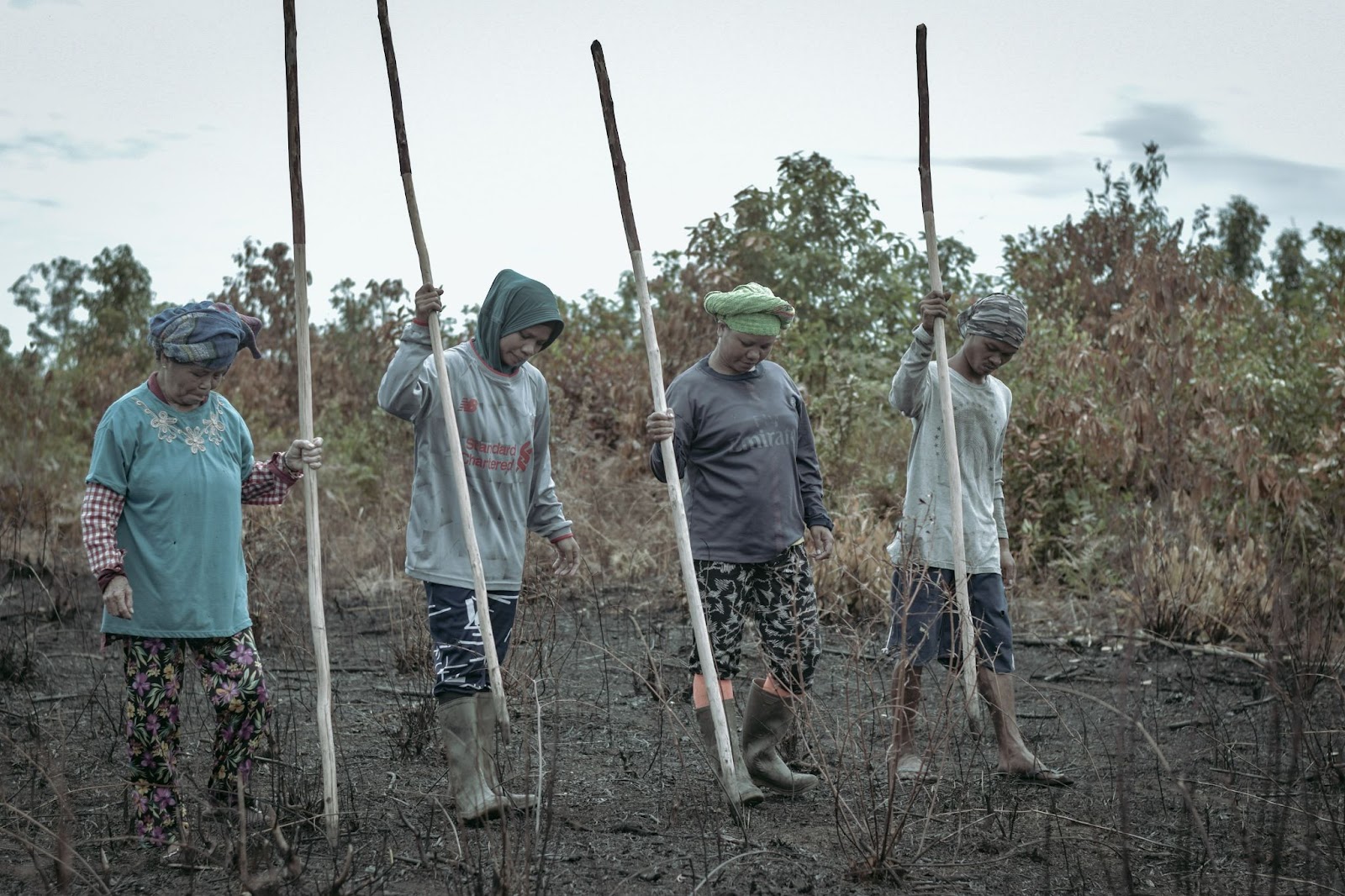 Masyarakat Suku Jerieng sedang mengolah ladang berkebunnya yang kian terhimpit perkebunan sawit.