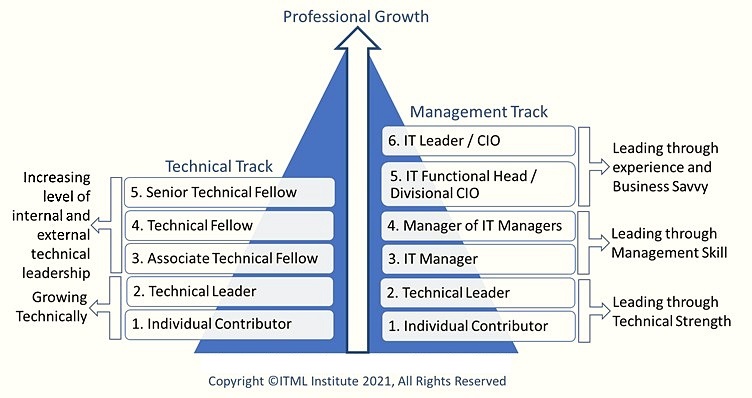 Association IT and CIO leadership development competencies, qualities, and traits