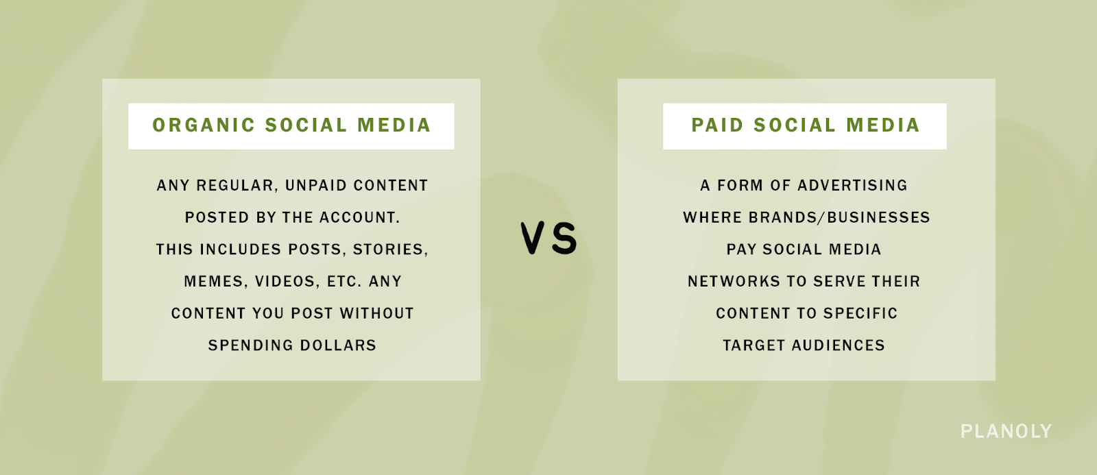 Types of Social Media Content that Boost Organic Reach 