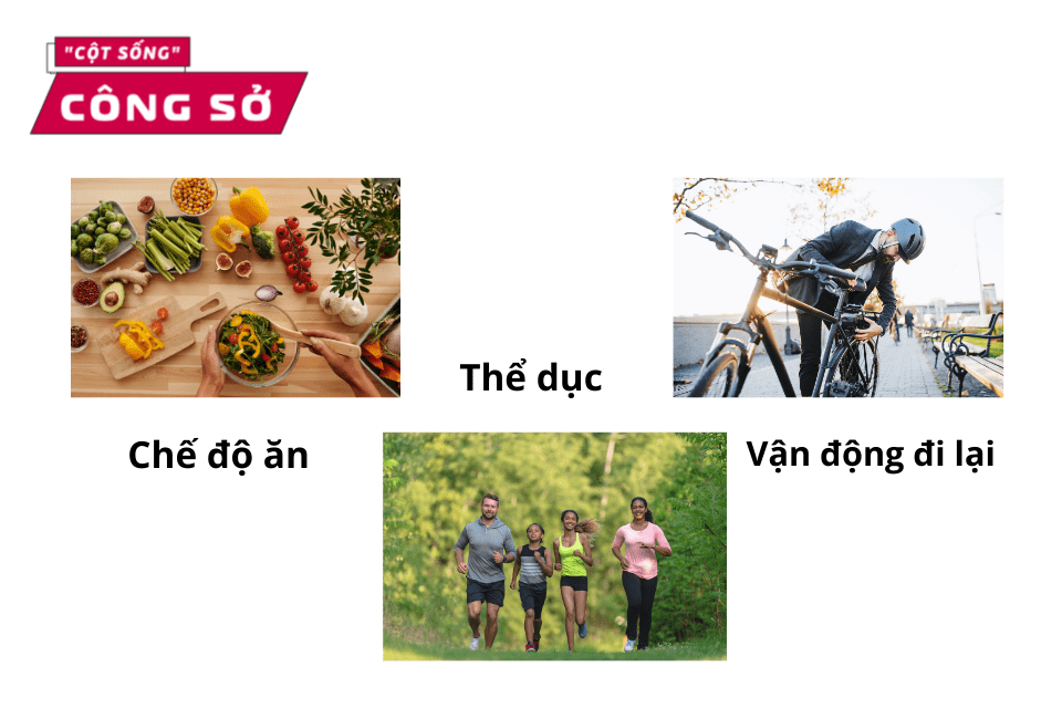 Một số biện pháp phòng ngừa gan nhiễm mỡ cho dân văn phòng