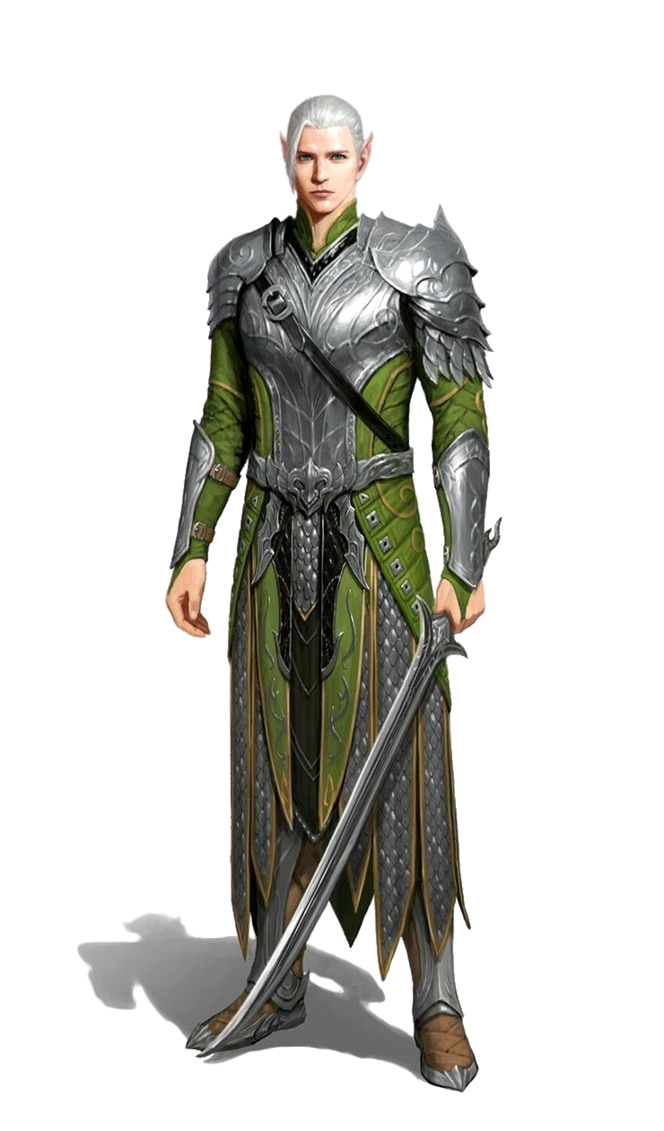 Male Elf Fighter Warrior - Pathfinder PFRPG DND D&D 3.5 5E 5th ed d20  fantasy | Elf warrior, Fantasy art men, Male elf