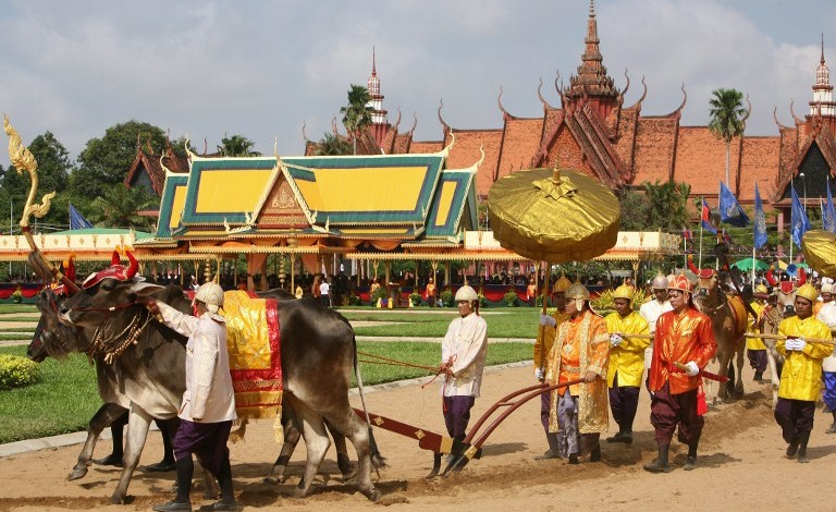 nghi thức cày tại lễ hội