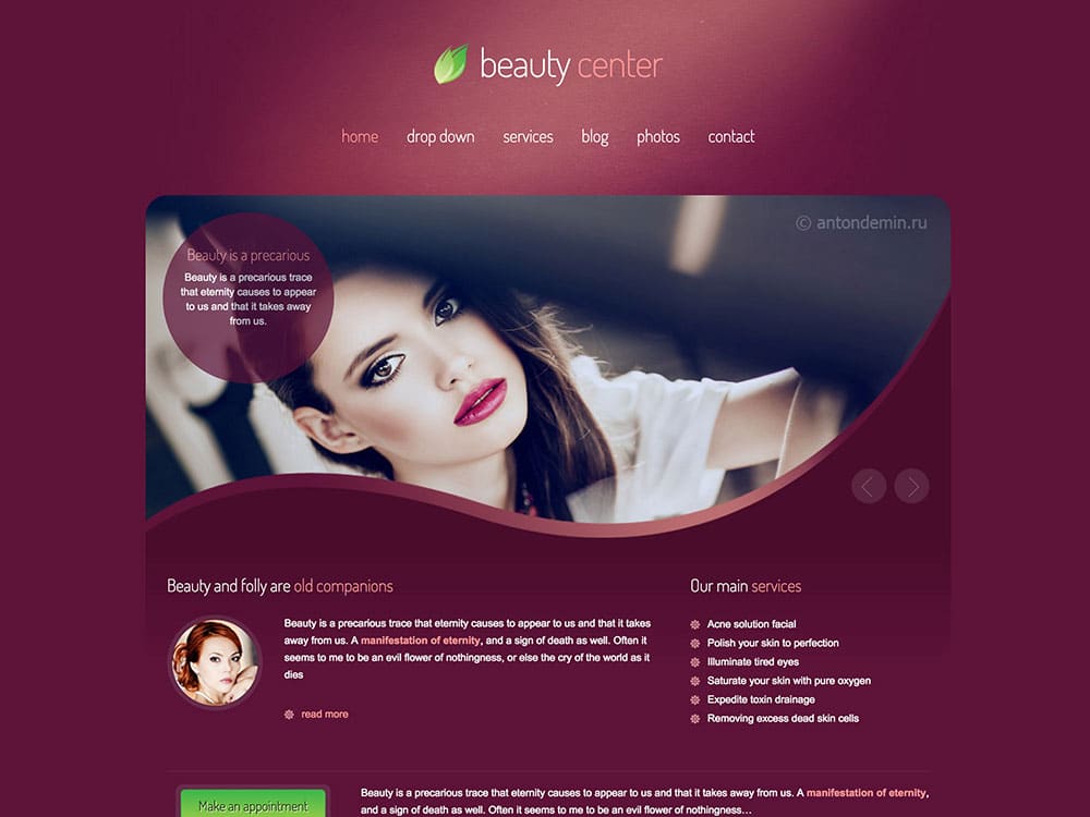 beauty-center-wordpress-theme