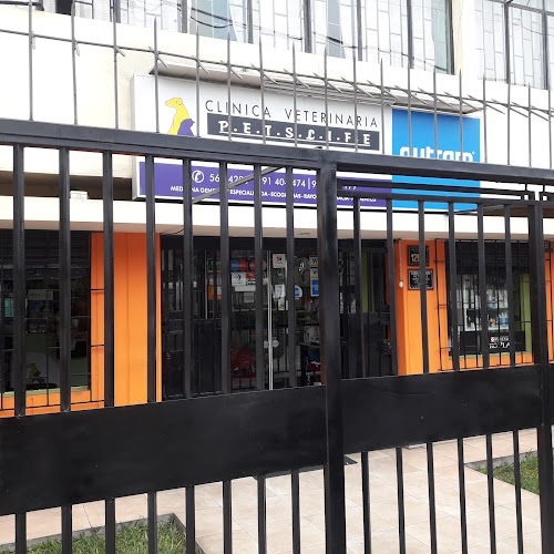 Clinica Veterinaria