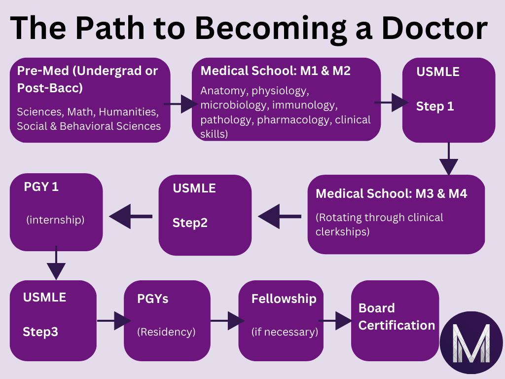 An educational chart representing the overview of medical education, including four years of medical school and residency.