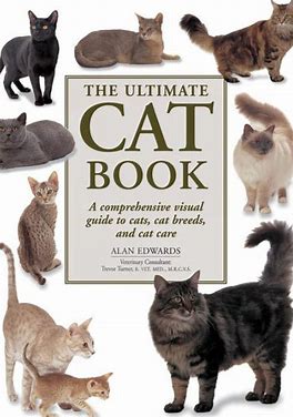 A Book About Cats