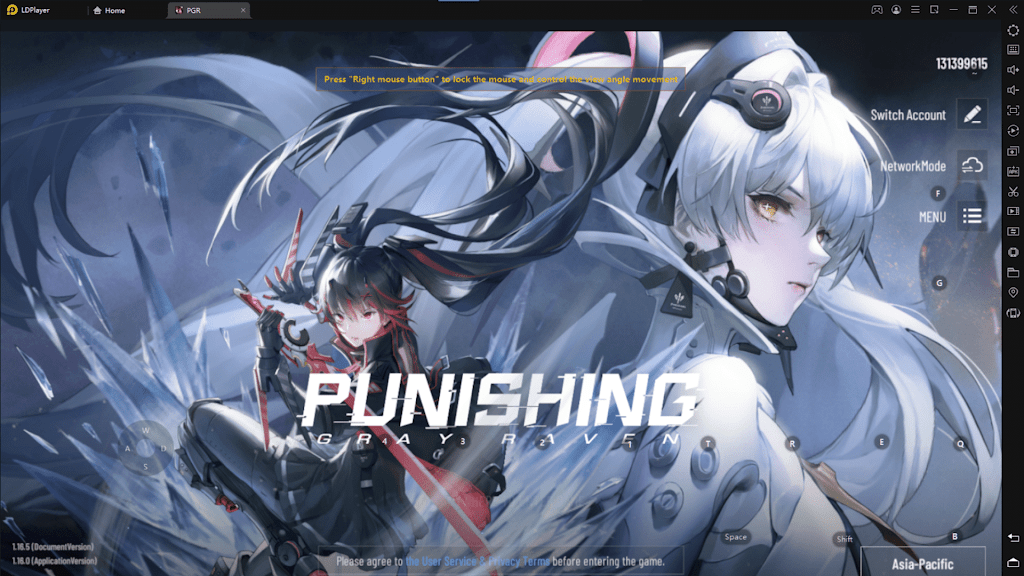 Punishing Gray Raven Codes November 2023