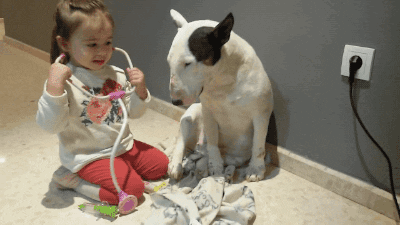 gif of a little girl using a stethoscope on her dog.