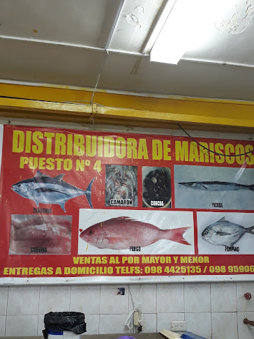 Distribuidora de Mariscos
