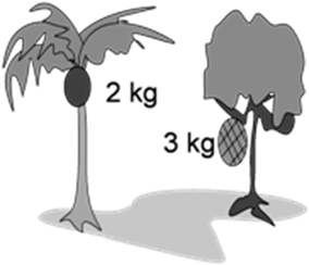 Jika gaya gravitasi di tempat itu 10 m/s2 maka perbandingan energi potensial buah kelapa dan buah nangka adalah ….