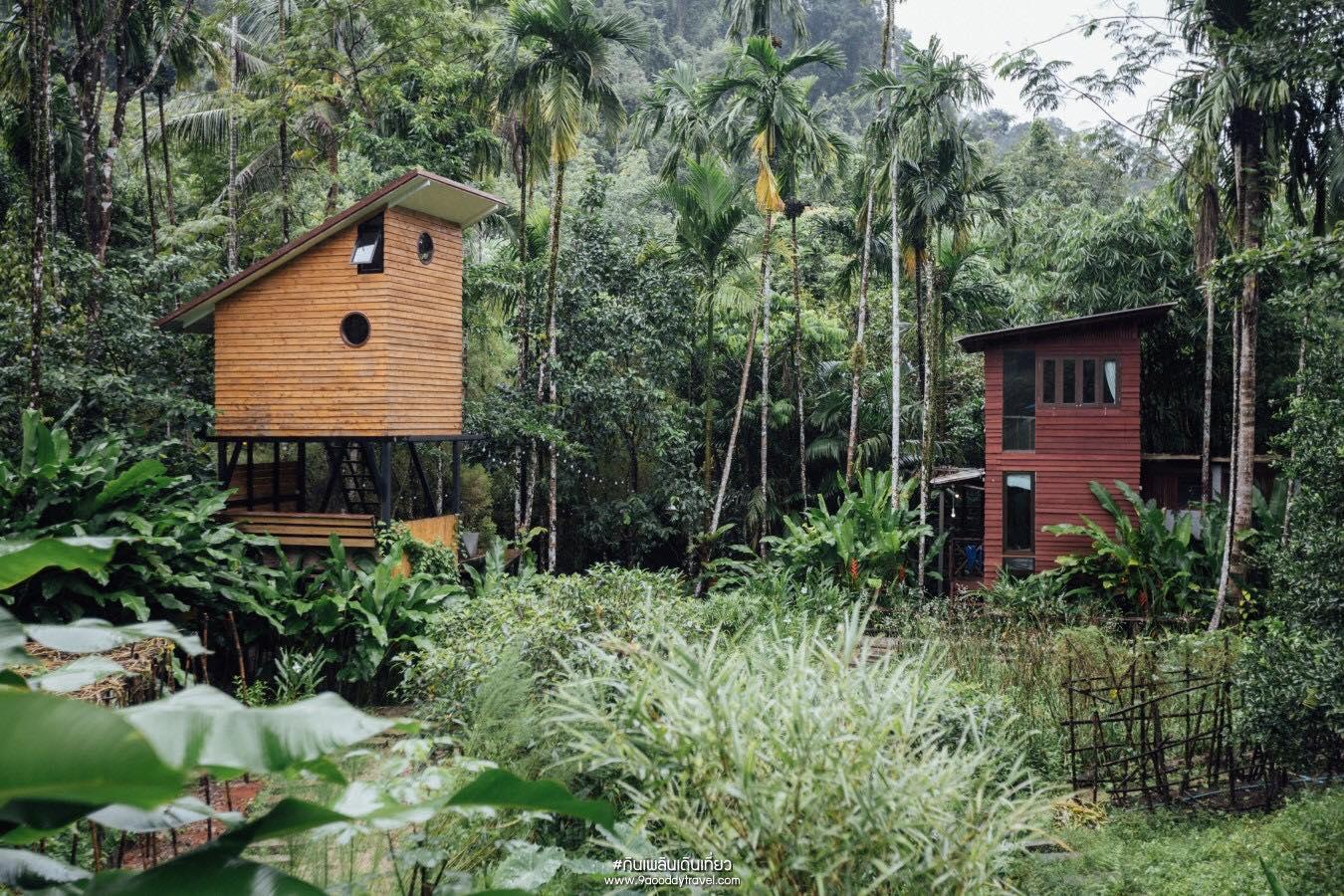 4. บ้านในหมง (treehouse bannaimong)