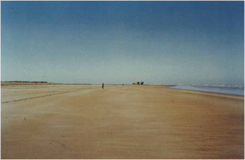 Harry Callahan.jpg