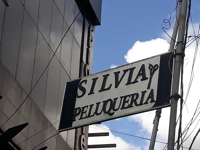Opiniones de Silvia Peluqueria en Cuenca - Centro de estética