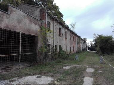 C:\Users\client9\Documents\Foto\2018.19\Miniera di Formignano III Borello ottobre 2018\IMG_20181006_094607.jpg