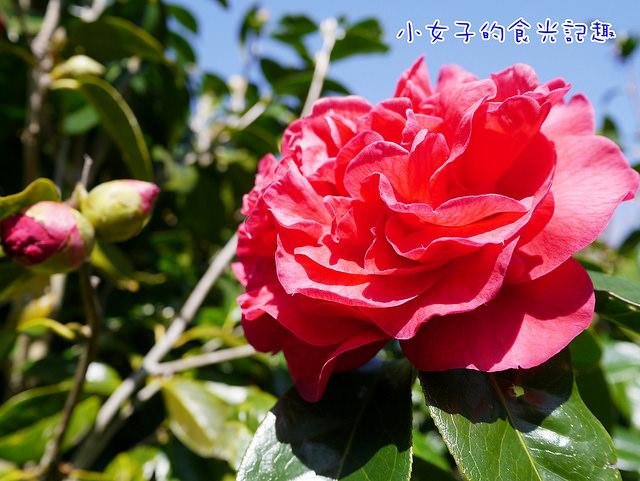 P1040128