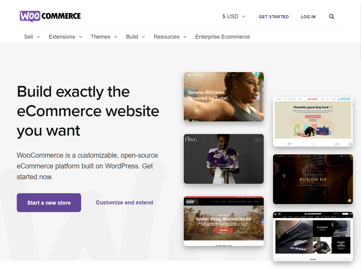 Platform for Your E-commerce Website: WordPress (Woocommerce)