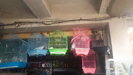 S.P. Fish World - Pond fish supplier in Miraj , India