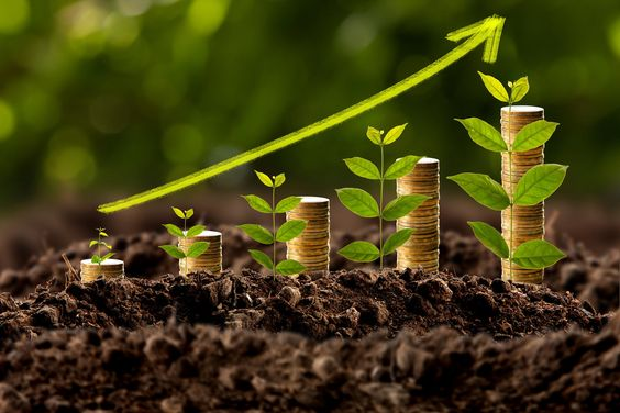 Economic Circumstances