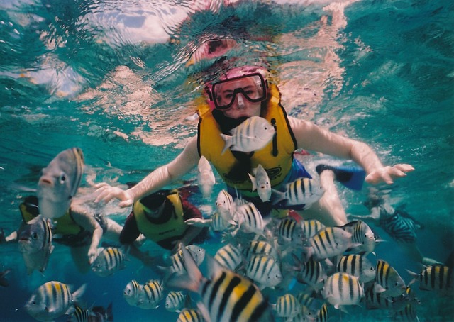 How To Have The Best Underwater Experience